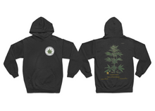 Load image into Gallery viewer, Eco Friendly Hoodie - Double Sided Print - Tree of Knowledge
