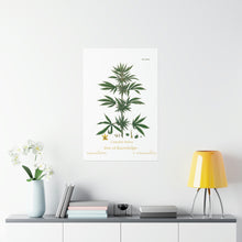 Load image into Gallery viewer, Premium Matte Vertical Poster - Tree of Knowledge
