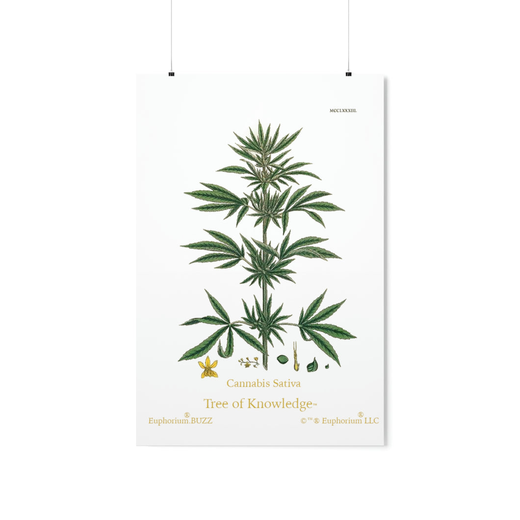 Premium Matte Vertical Poster - Tree of Knowledge