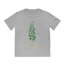 Load image into Gallery viewer, Eco Friendly Tees - Tree of Life - Sustainable Clothing
